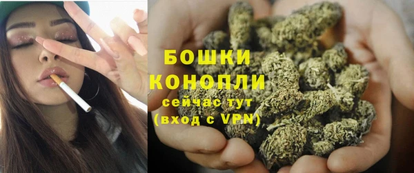 МДПВ Козловка